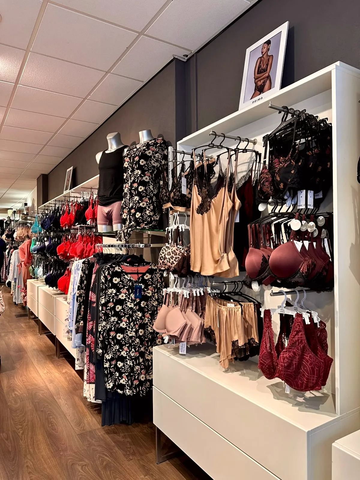 Interieur van Sylle Lingerie in Zutphen: een lange wand vol bh's, satijn en kant boven een houten vloer